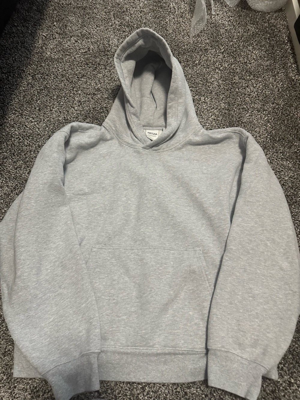 Aritzia Light Gray Hooded Sweatshirt